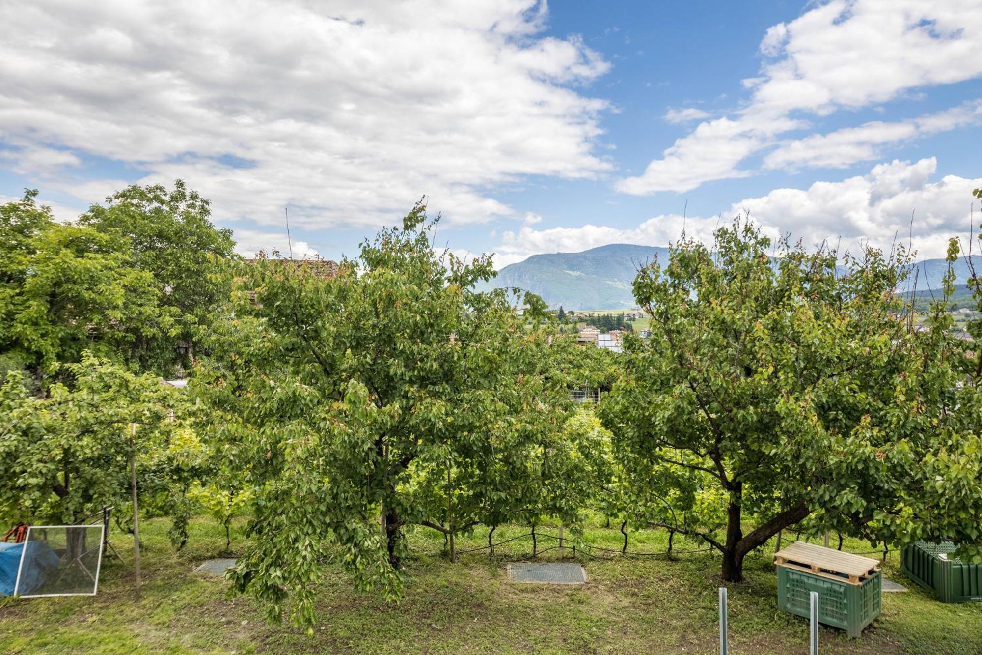 Angerblick Appiano Sulla Strada Del Vino